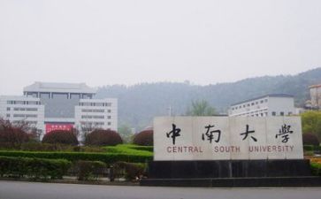 高校个人总结工作总结通用5篇