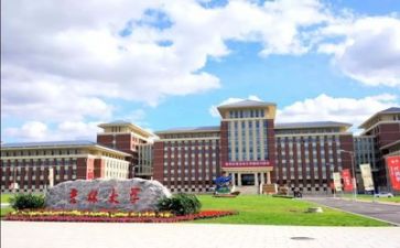 2024高校教师述职报告5篇