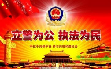 2024年公安工作个人年度总结6篇