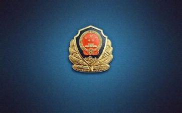 公安个人总结8篇