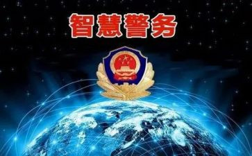 公安年度总结个人总结6篇