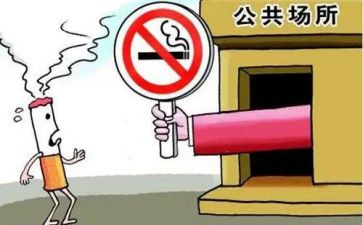 2024公共卫生个人总结范文8篇
