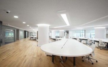 初来公司的心得体会优质8篇