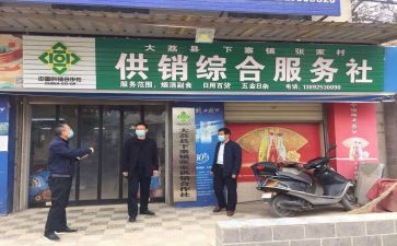 2024年供销社年度工作总结8篇