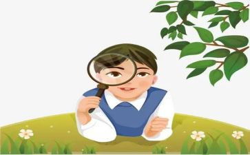 观察蚕宝宝的作文6篇