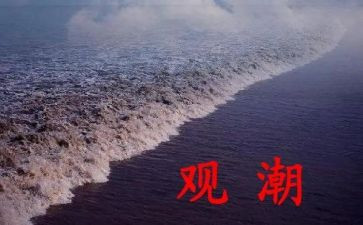 观潮的读后感400字推荐7篇