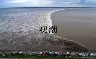 观潮的读后感400字优质5篇