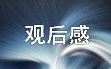心得体会观后感6篇