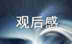 b站观后感通用5篇