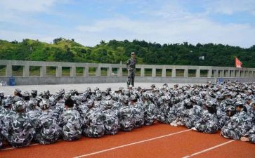 观训心得体会3000字通用8篇