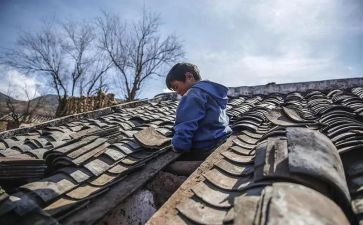 赵氏孤儿读后感6篇