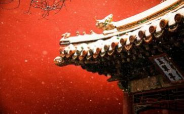 故宫导游作文7篇