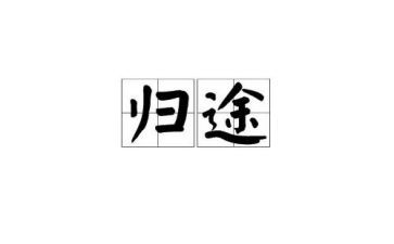 万里归途的观后感推荐6篇