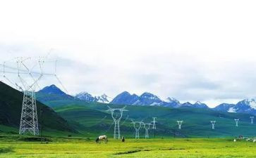 2024国网安全心得体会6篇