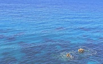 《怒海潜将》观后感6篇
