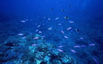 海底两万里的读后感500字推荐8篇