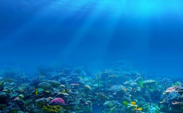 海底两万里的读后感100字6篇