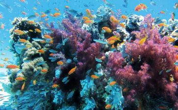海底两万里的读后感500字7篇