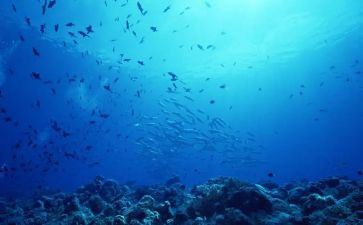 《海底两万里》的读后感精选7篇
