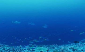 海底2万里心得体会6篇