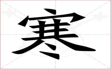 大学生寒假实践心得体会参考7篇