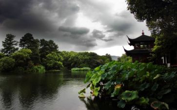 杭州租房合同7篇