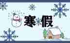 2023年寒假工作计划优秀7篇