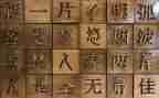 我的汉字的作文模板6篇