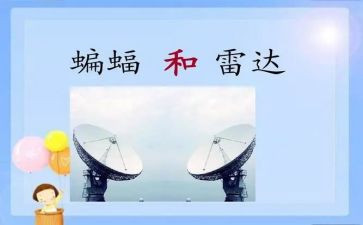 四年级蝙蝠和雷达教案7篇