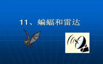 四年级上册蝙蝠和雷达教案5篇