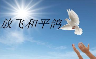 为了和平心得体会100最新6篇