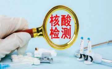 核酸检测队工作总结最新5篇