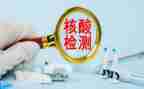 核酸检测队工作总结最新5篇