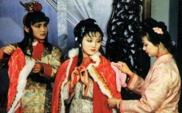 小学红楼梦读后感5篇