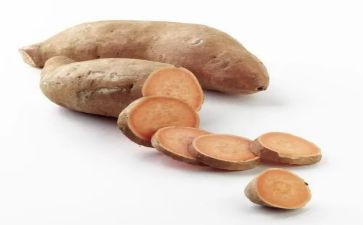 红薯作文模板5篇