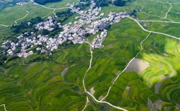 环境调查报告100精选6篇