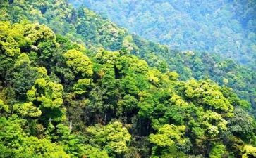 环境的调查报告推荐8篇