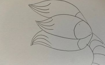 画尾巴教案最新8篇