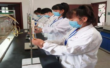 煤化验工作总结优秀8篇