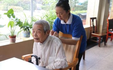 2024年养护工作总结范文7篇