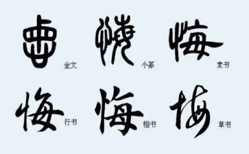 罪与悔观后感精选8篇