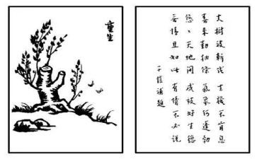 保护生环境讲话稿范文5篇