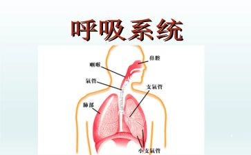 呼吸内科年工作计划7篇