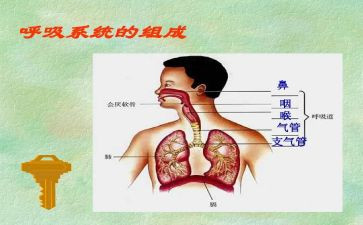 儿呼吸科心得体会7篇