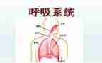 呼吸内科年工作计划7篇