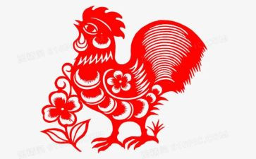 五年级鸡的作文6篇