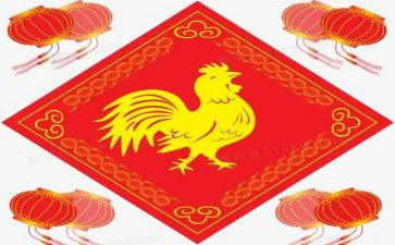 鸡妈妈教案6篇