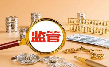 监管工作总结参考8篇