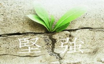 她教会我坚强作文8篇