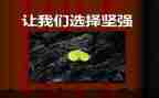 有时,我也想坚强作文5篇